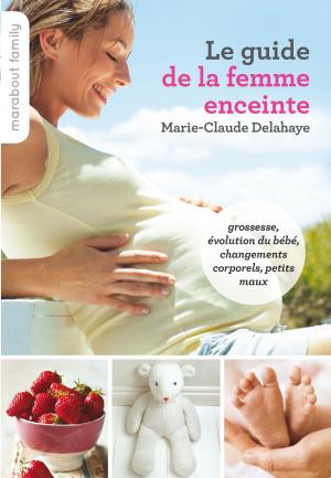 Cover of the book Le guide pratique de la femme enceinte by Candice Kornberg-Anzel, Camille Skrzynski, Olivier Barbin