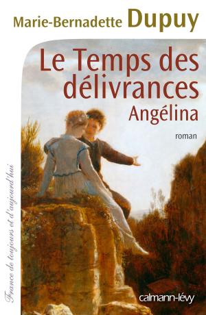 Cover of the book Le Temps des délivrances -Angelina- T2 by Marie-Bernadette Dupuy