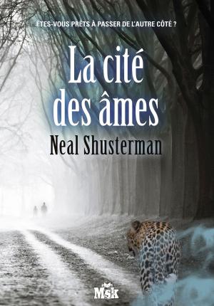 Book cover of La cité des âmes