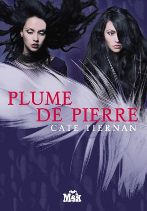 Cover of the book Plume de pierre by Denise Mina