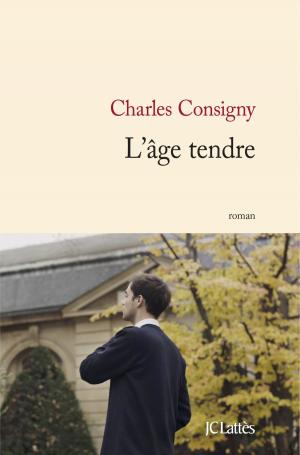 Cover of the book L'âge tendre by Frédéric Lenormand