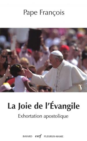 Cover of the book La joie de l'Évangile by Éric De Rosny, Jean-Luc Marion, Anne-Christine Fournier, Bertrand Vergely, Edgar Morin, Rémi Brague
