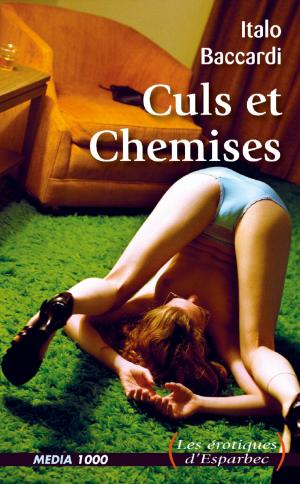 Cover of the book Culs et Chemises by Érasme, Alcide Bonneau