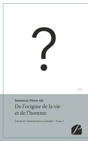 Cover of the book De l'origine de la vie et de l'homme by Pierre Aly Soumarey