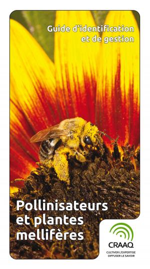 Cover of the book Guide d'identification et de gestion - Pollinisateurs et plantes mellifères by American Museum of Natural History, Hazel Davies