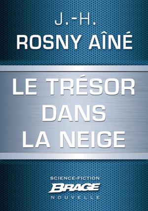 Book cover of Le Trésor dans la neige