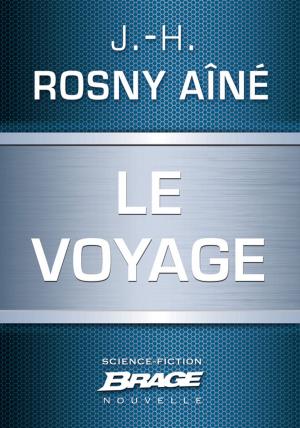 Cover of the book Le Voyage by Hélène P. Mérelle