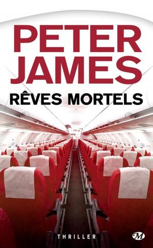 Cover of the book Rêves mortels by Pierre Pelot