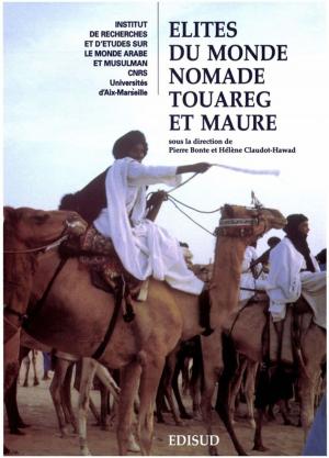 Cover of the book Élites du monde nomade touareg et maure by François Siino