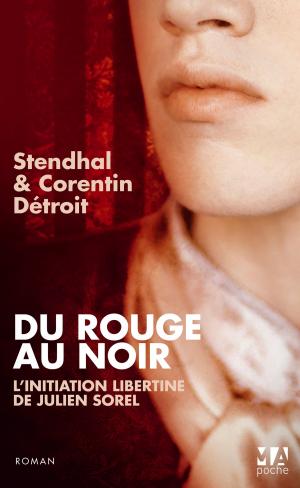 Cover of the book Du rouge au noir by Jean-Luc Bizien