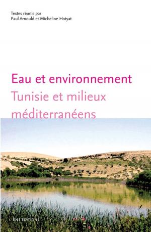 Cover of the book Eau et environnement by Claude Raffestin