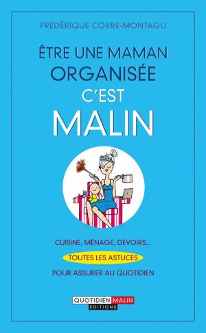Cover of the book Être une maman organisée, c'est malin by Marie Borrel, Philippe Maslo