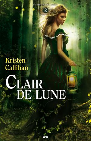Cover of the book Clair de lune by Martin Daneau