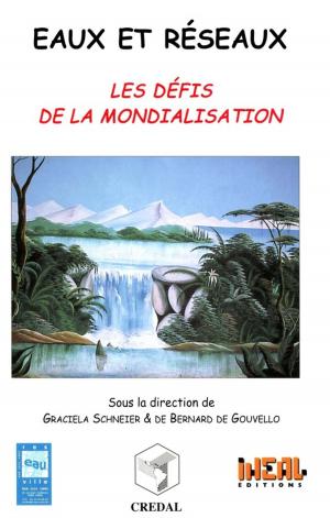 Cover of the book Eaux et réseaux by Collectif