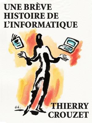 Cover of the book Une brève histoire de l'informatique by Thierry Crouzet, Jacques Roumain