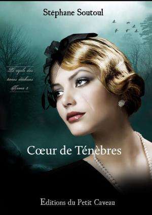 Cover of the book Coeur de Ténèbres by Jade Corbeau