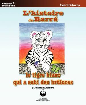 Cover of the book L'histoire de Barré le tigre blanc qui a subi des brûlures by Georges Leblanc