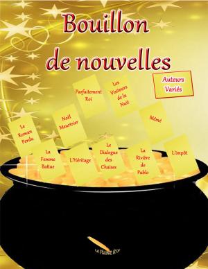 Cover of the book Bouillon de nouvelles by M.L. Lego