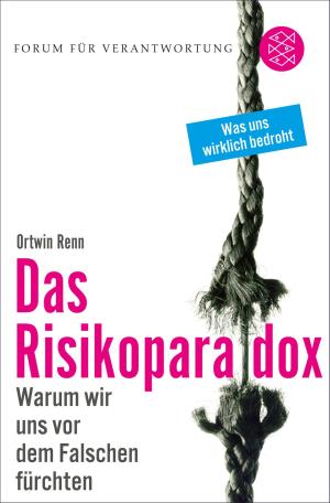 Book cover of Das Risikoparadox