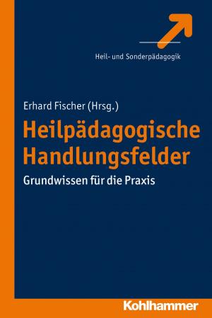 Cover of the book Heilpädagogische Handlungsfelder by 