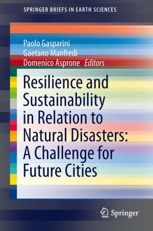 Cover of the book Resilience and Sustainability in Relation to Natural Disasters: A Challenge for Future Cities by 