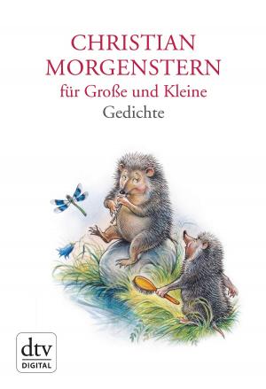 Book cover of Christian Morgenstern für Große und Kleine