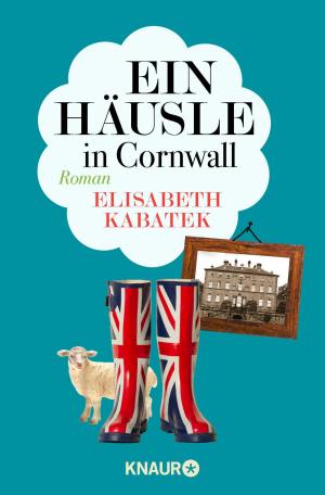 Cover of the book Ein Häusle in Cornwall by Wolfram Fleischhauer