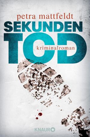 Book cover of Sekundentod