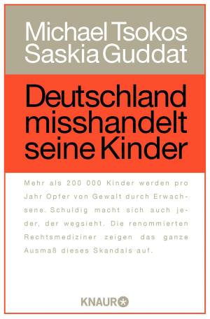 Cover of the book Deutschland misshandelt seine Kinder by John Kotter, Holger Rathgeber