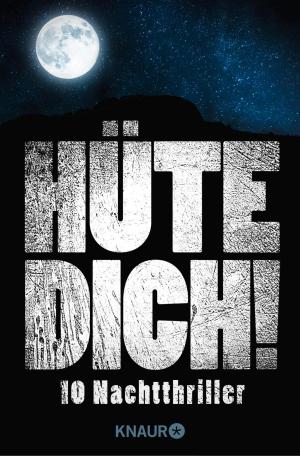 Cover of the book Hüte Dich! by Katja Maybach