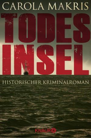 Cover of the book Todesinsel by Andreas Franz