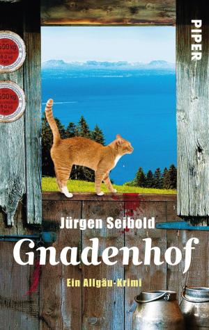 Cover of the book Gnadenhof by Johannes Willms