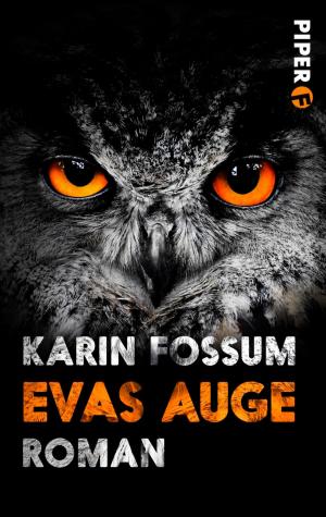 Cover of the book Evas Auge by Jørn Lier Horst