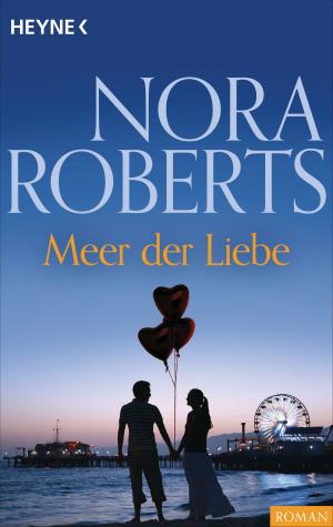 Cover of the book Meer der Liebe by Dan Simmons