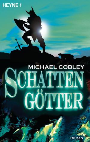 Cover of the book Schattengötter by James Barclay
