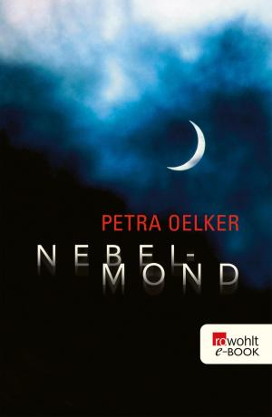 Cover of the book Nebelmond by Markus Osterwalder