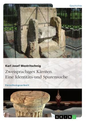 Book cover of Zweisprachiges Kärnten. Eine Identitäts- und Spurensuche