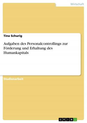 Cover of the book Aufgaben des Personalcontrollings zur Förderung und Erhaltung des Humankapitals by Daniel Stelzer