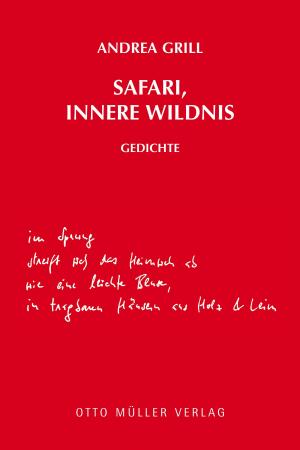 Cover of the book Safari, innere Wildnis by Julian Schutting