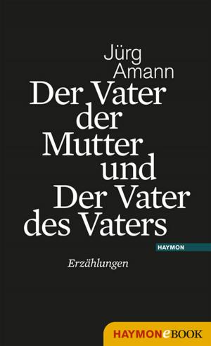 Cover of the book Der Vater der Mutter und Der Vater des Vaters by Klaus Merz