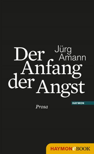 Cover of the book Der Anfang der Angst by Robert Sedlaczek