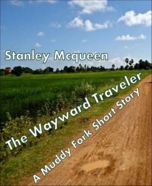 Book cover of The Wayward Traveler