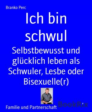 Cover of the book Ich bin schwul by R. Sanchez