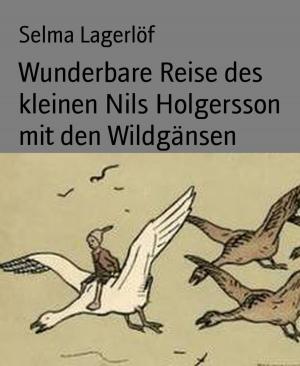 Cover of the book Wunderbare Reise des kleinen Nils Holgersson mit den Wildgänsen by Christian Bass