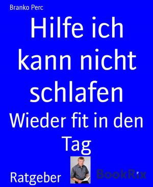 Cover of the book Hilfe ich kann nicht schlafen by Henning Müller-Detert