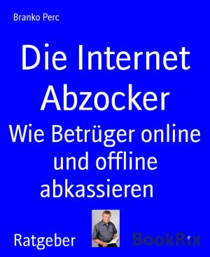 Cover of the book Die Internet Abzocker by Pat Brave