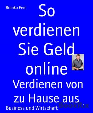 Cover of the book So verdienen Sie Geld online by Ronald M. Hahn