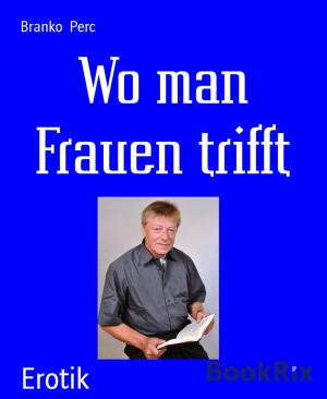 Cover of the book Wo man Frauen trifft by Egon Shooter