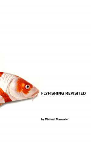 Cover of the book The Flyfishing Revisited by Stefan Blankertz