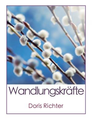 Cover of the book Wandlungskräfte by Günter von Hummel